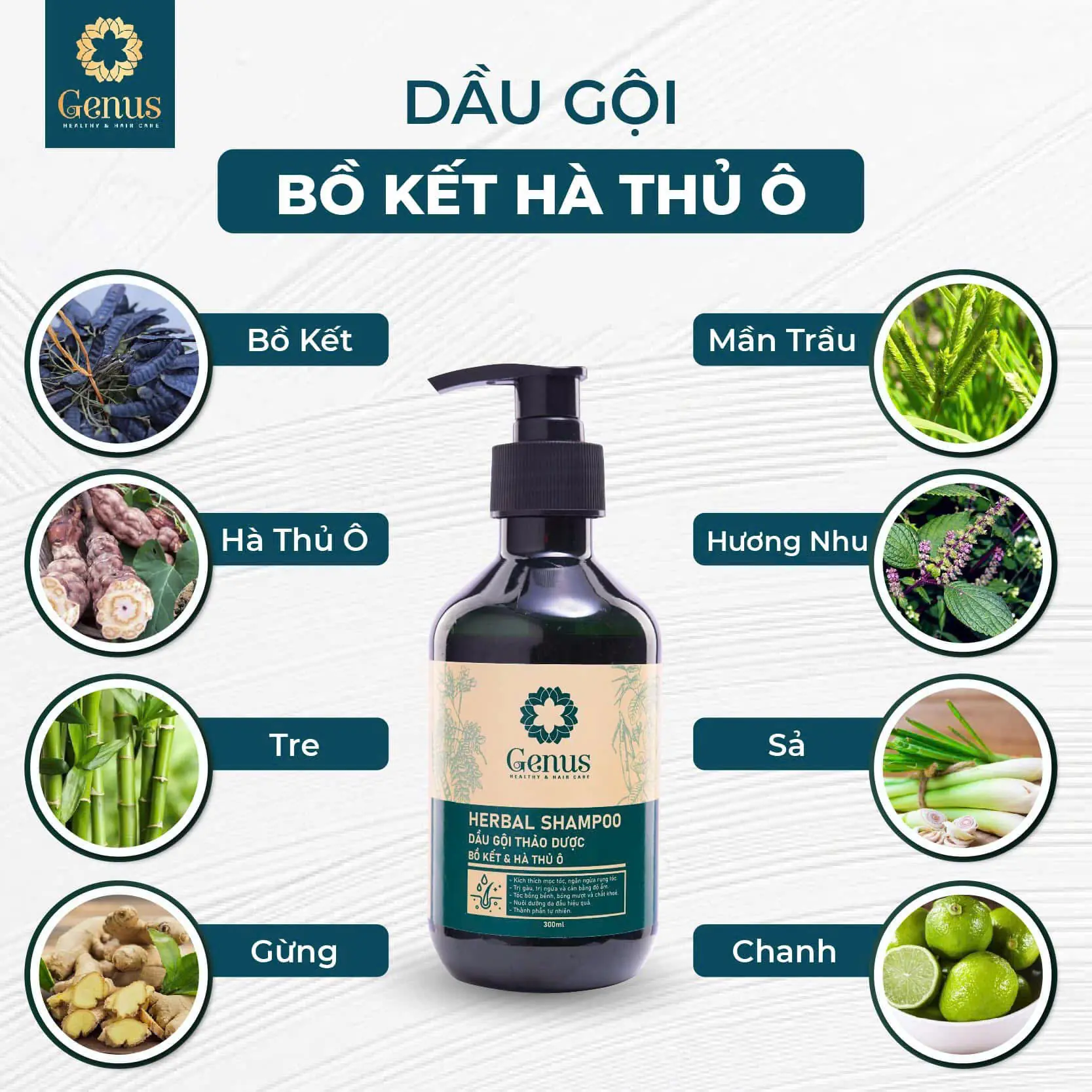Genus Herbal Shampoo – Dầu gội thảo dược Bồ Kết Hà Thủ Ô