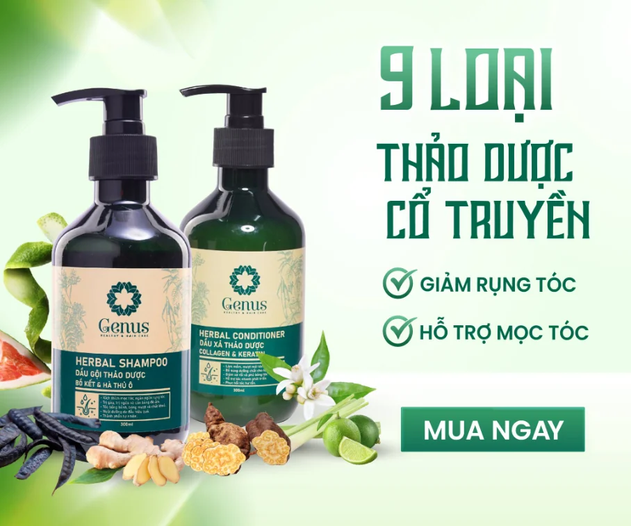 Dầu gội bồ kết hà thủ ô